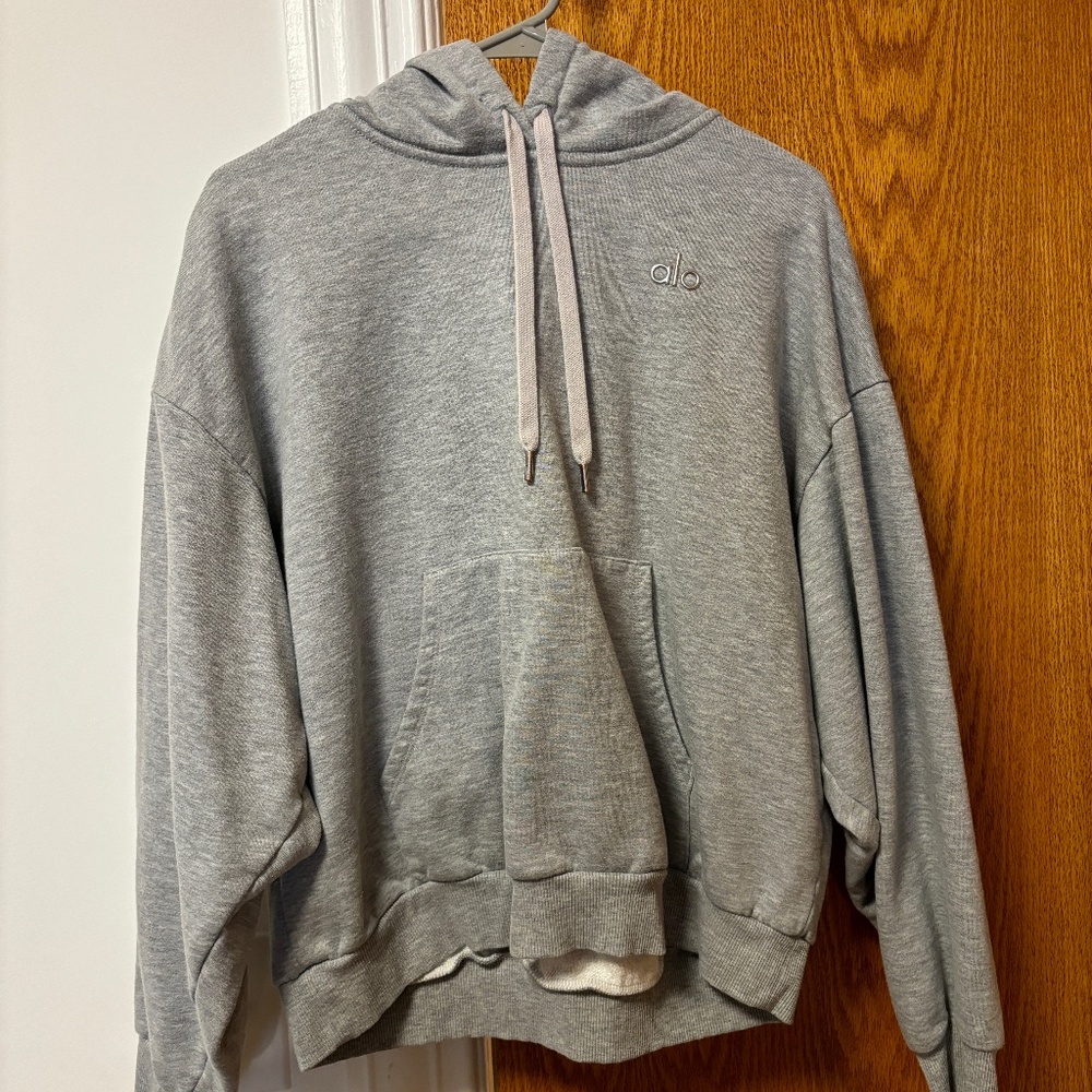 COPY - Alo Accolade Hoodie